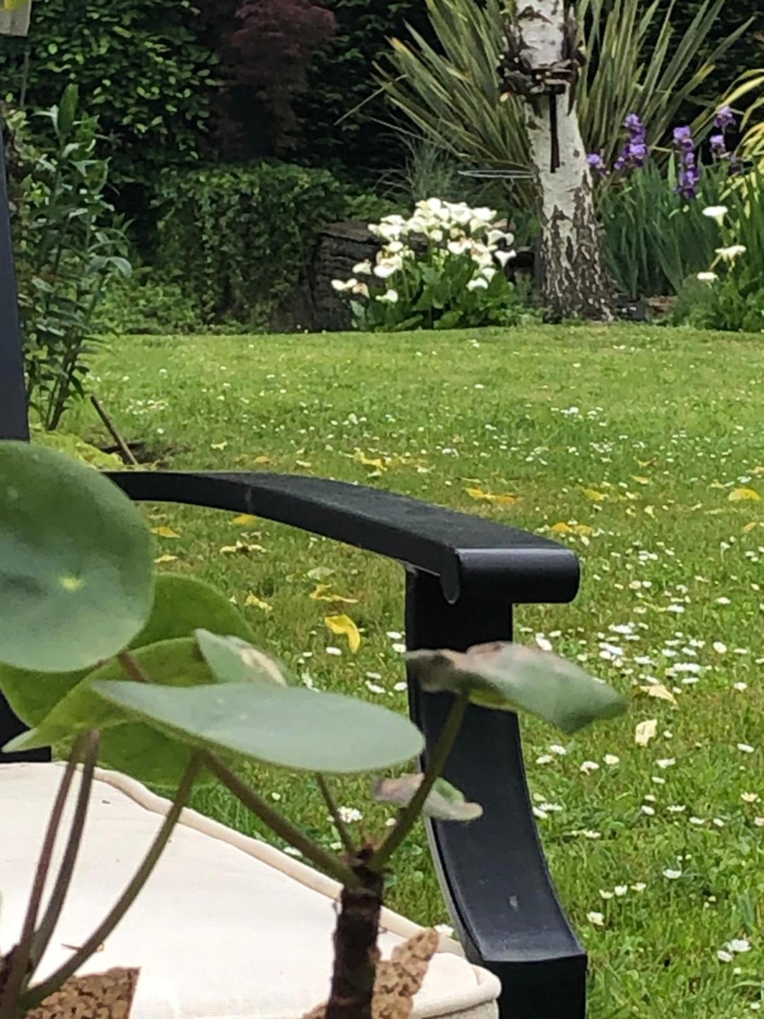 La Thibautiere Bed and Breakfast Blaison Exteriör bild