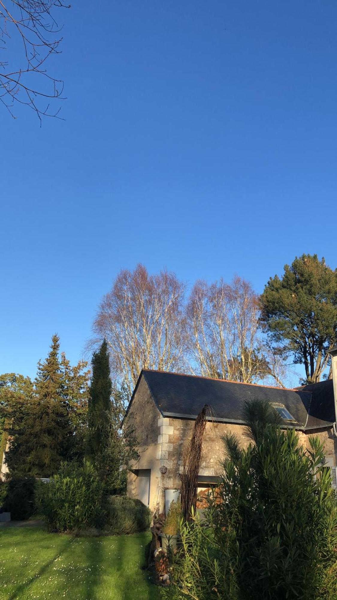 La Thibautiere Bed and Breakfast Blaison Exteriör bild